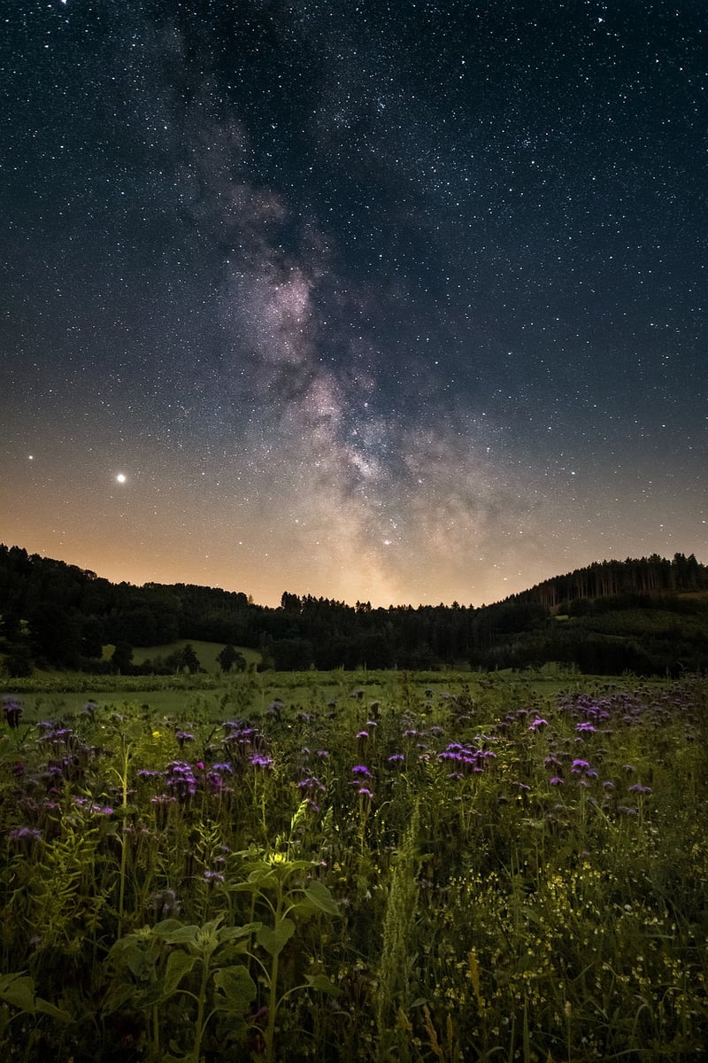 Galactic Universe